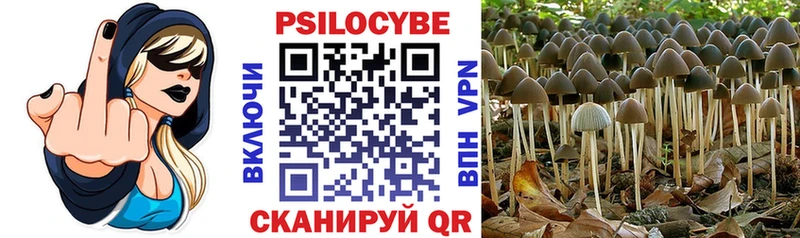 Псилоцибиновые грибы Cubensis  Балаково 